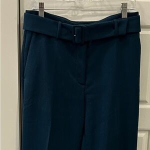 Ann Taylor Deep Blue Wide Leg Pants